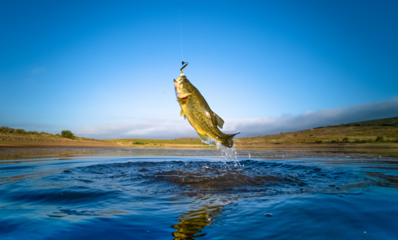 how to get a canadian fishing license