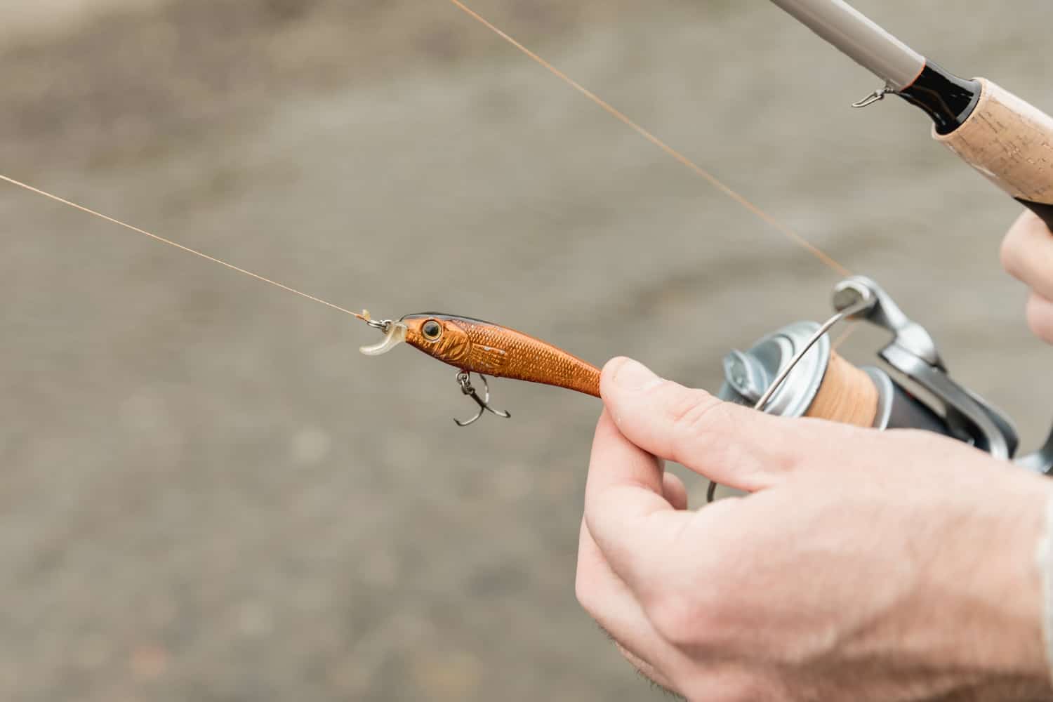 how-to-hook-live-shrimp-fishing-chronicle