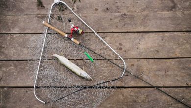 how to make simple fish trap