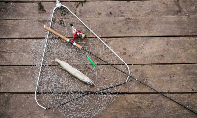 how to make simple fish trap