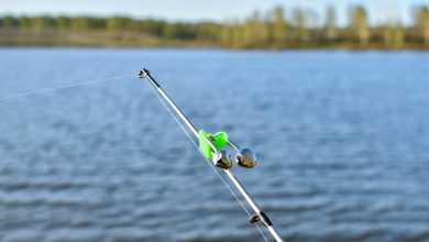 lake fishing tips
