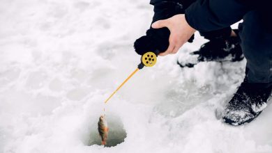 what are ice fishing tip ups