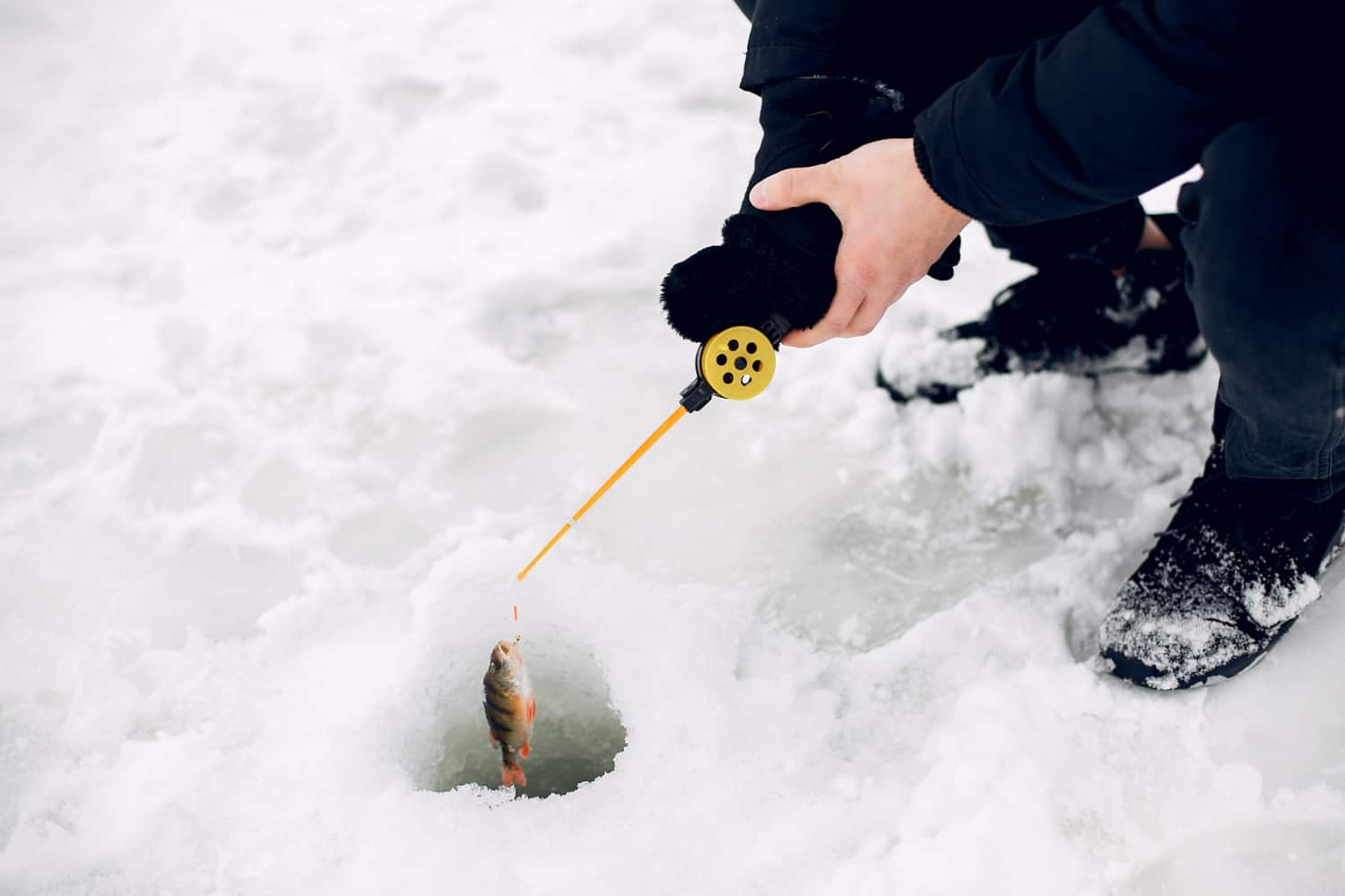 What Are Ice Fishing TipUps? Fishing Chronicle