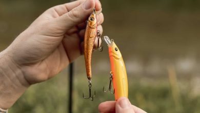 what is the difference between jerkbait and crankbait