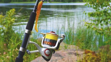 how to clean a fishing reel