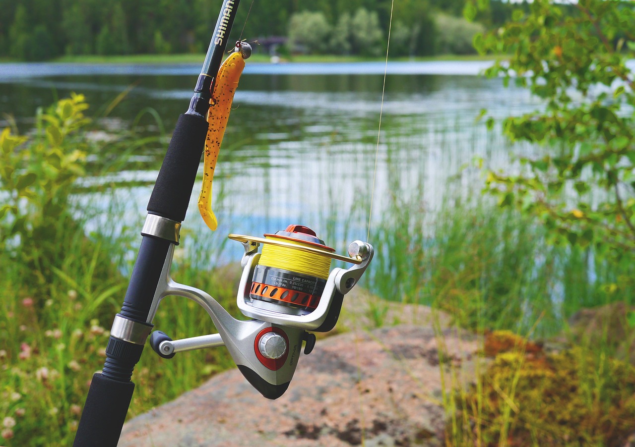 How To Say Fishing Reel In French