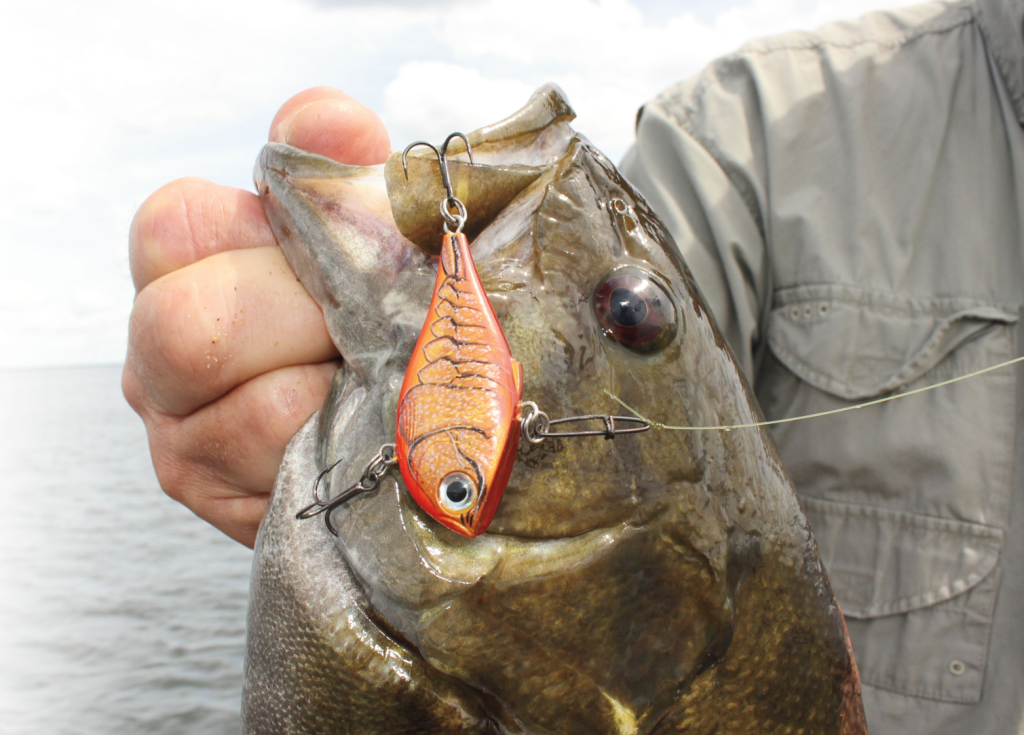 How to Fish Rattletrap Fishing Chronicle