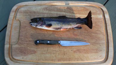 how to fillet trout