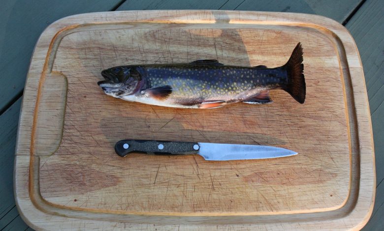 how to fillet trout